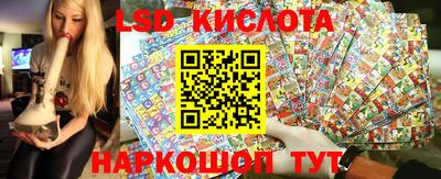 амф Кандалакша